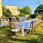 Golden Chairs For rental purpose in dubai