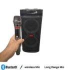 party speaker with mic for rent