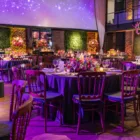 tiffany napoleon chairs for rent in dubai and abu dhabi