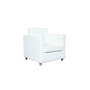Vip Arm Sofa Rental